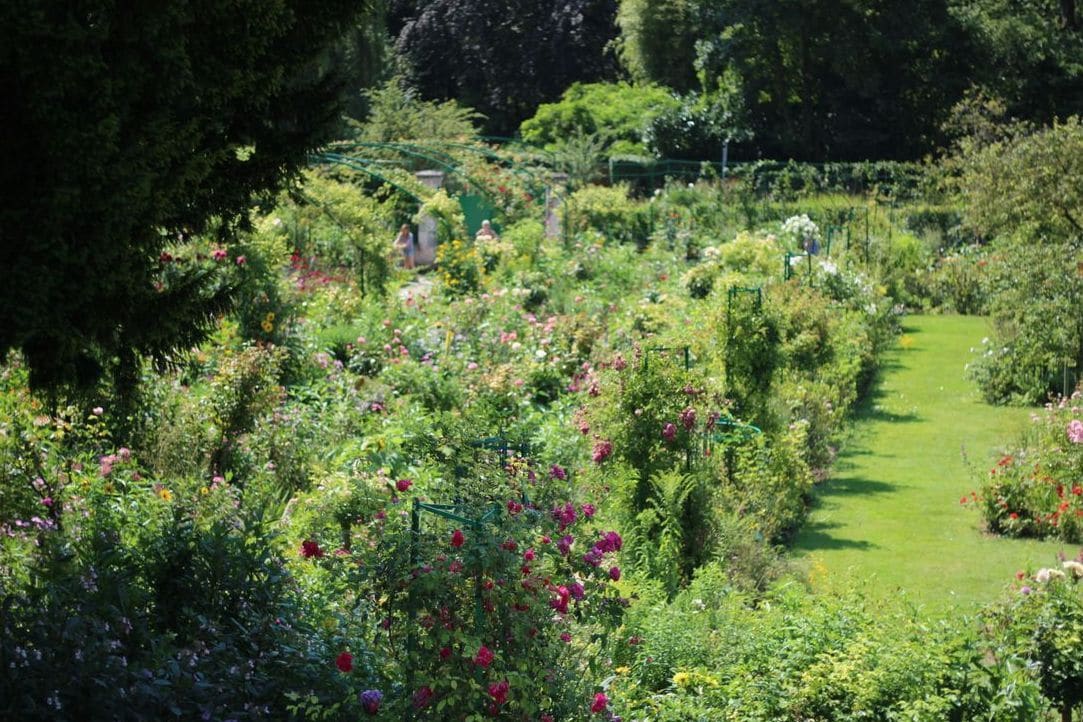 Maple Grove Gardens