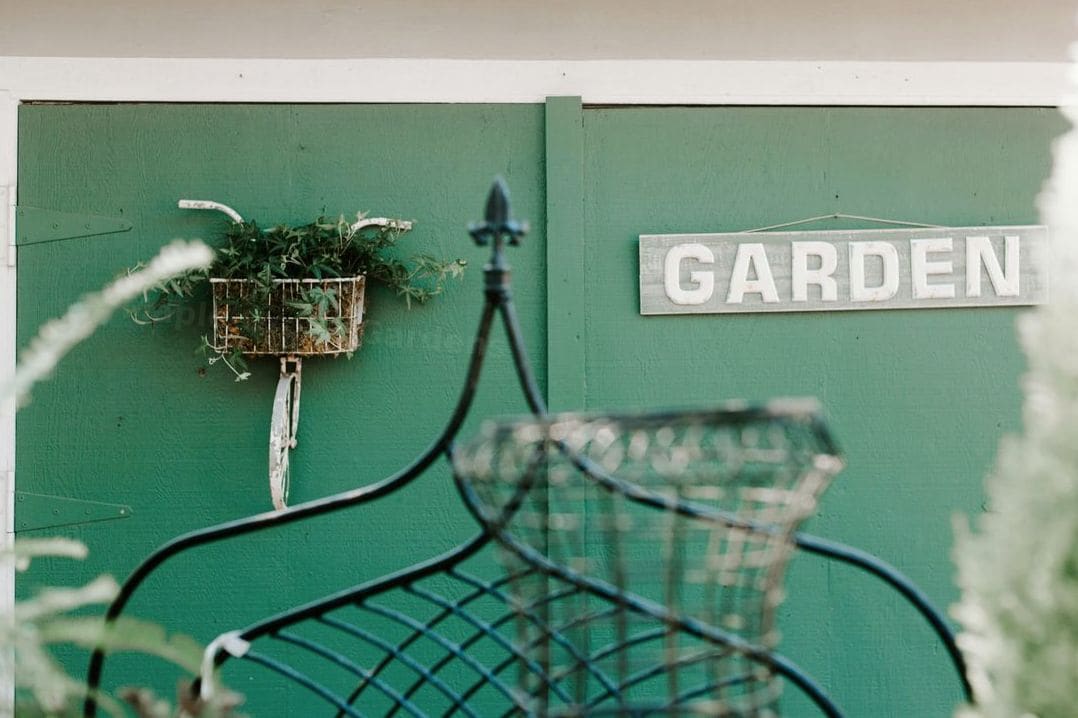 Spring Garden Refresh Ideas for a Vibrant Outdoor Space