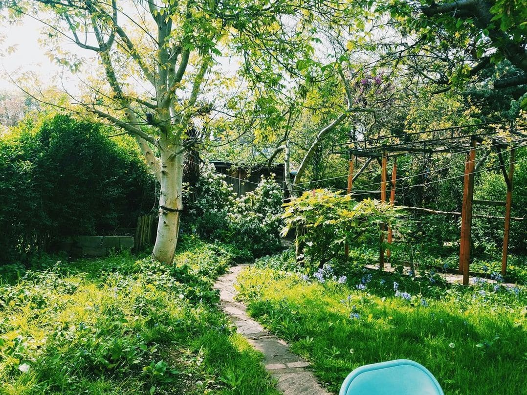 Choosing the Right Plants for a Low-Maintenance Landscape