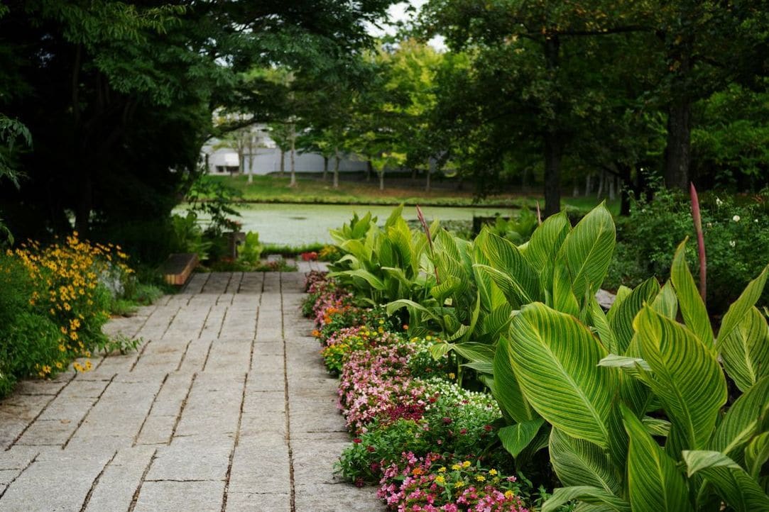 How Proper Mulching Supports Healthy Garden Beds