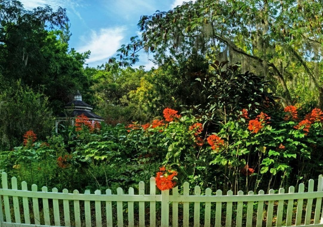 Maple Grove Gardens 11