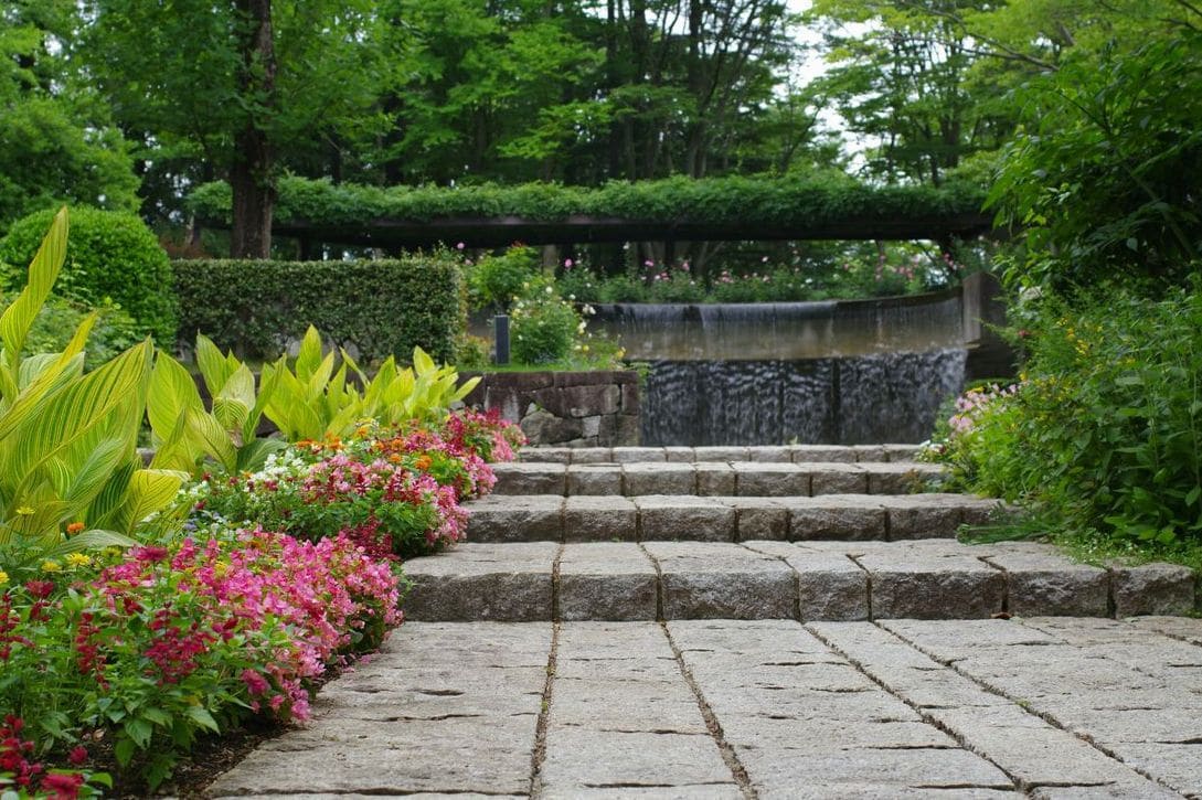 Maple Grove Gardens 2