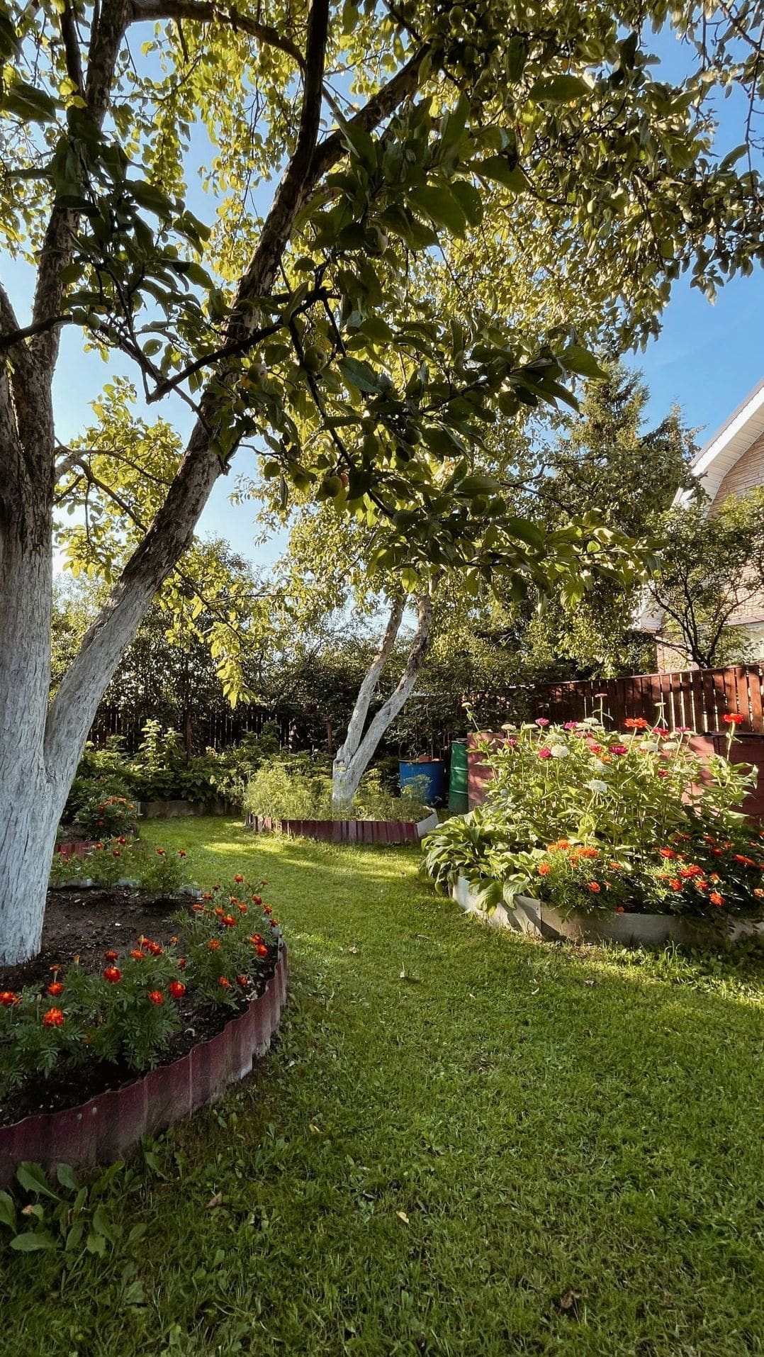 Maple Grove Gardens 3