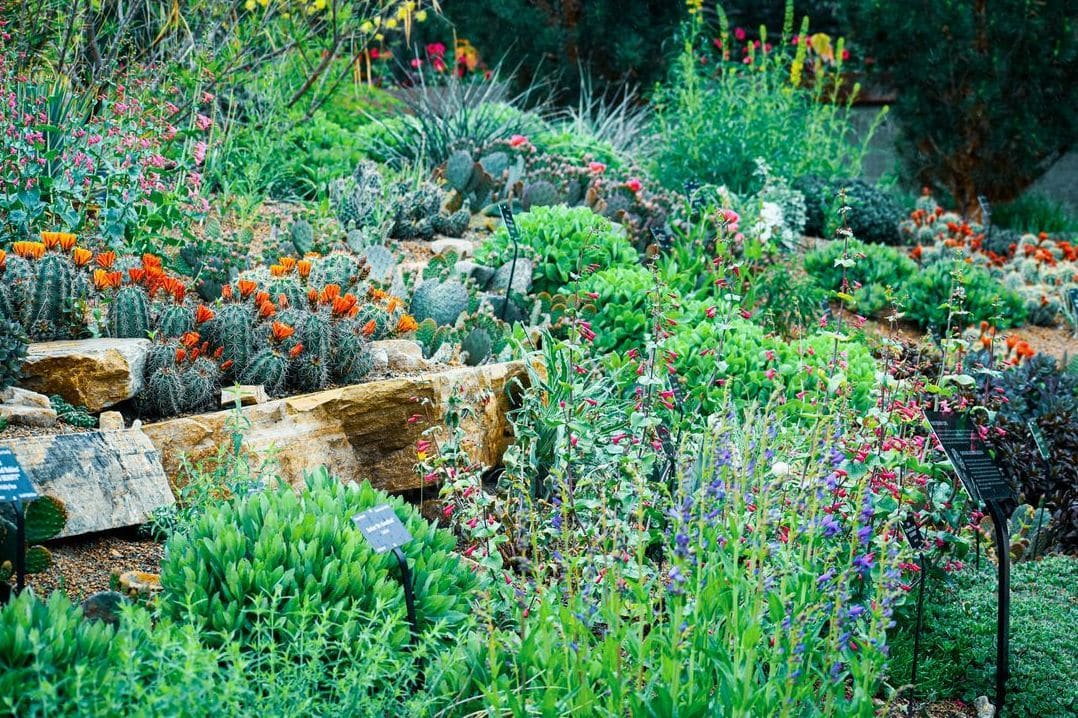 Maple Grove Gardens 5