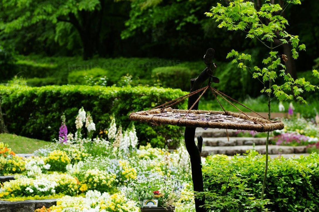 Maple Grove Gardens 8
