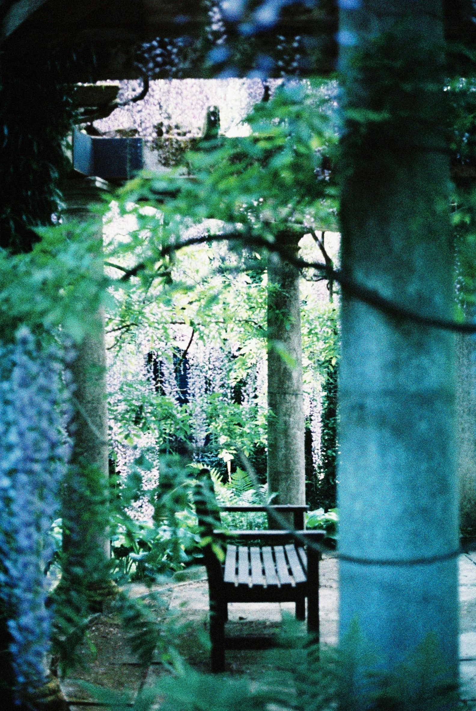 Maple Grove Gardens