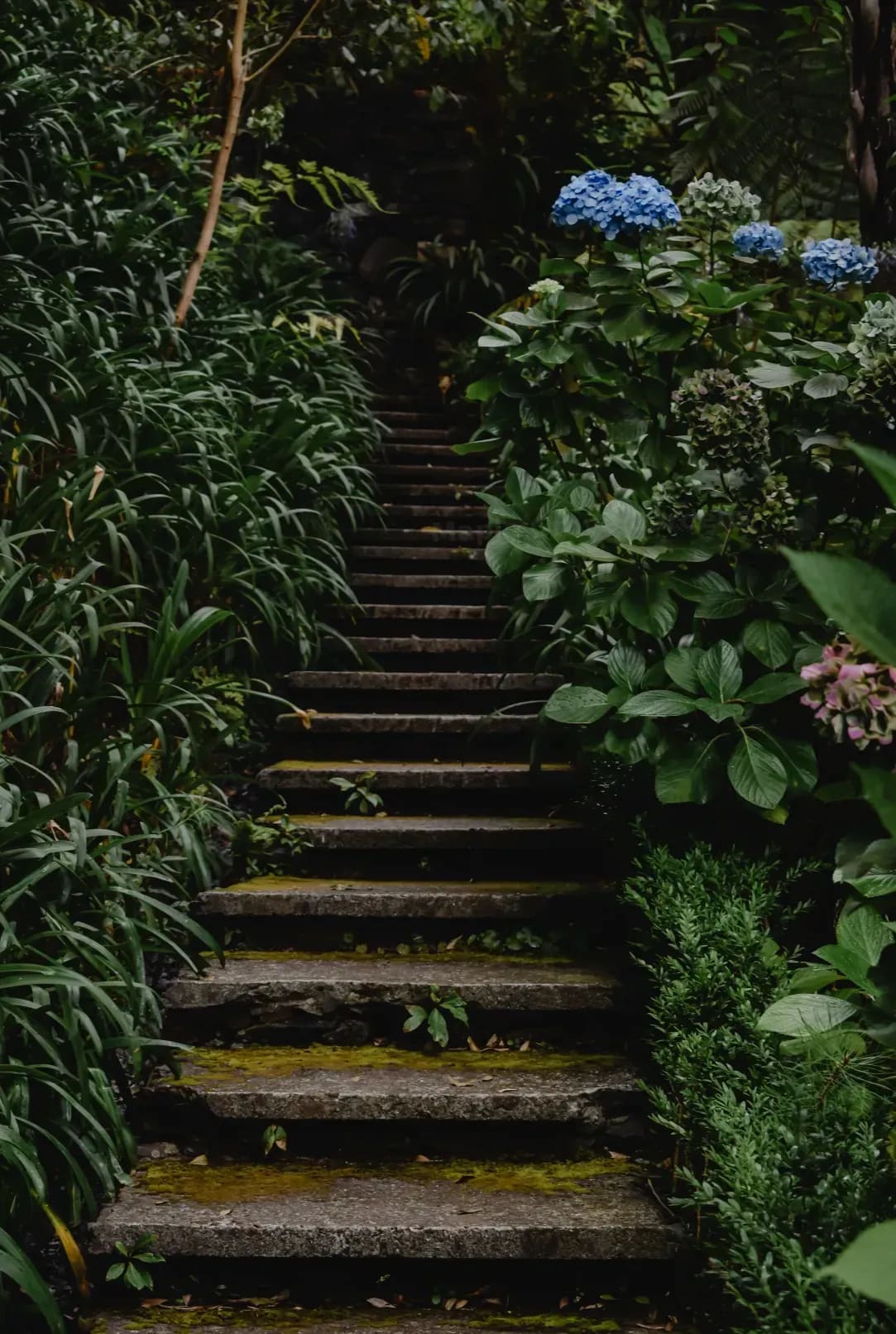 Garden design and planting plans