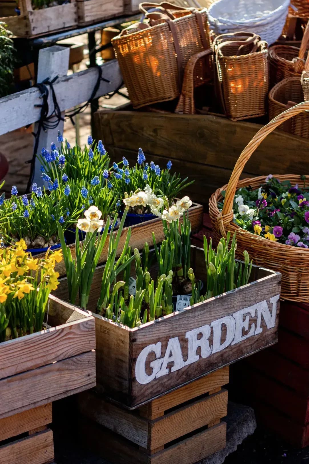 Seasonal garden cleanups