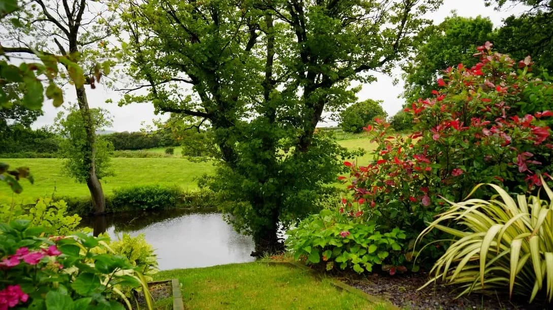 Weed control and hand weeding